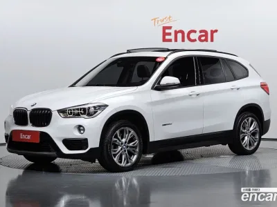 2018 BMW X1 xDrive 20d Joy, фото 1, лот 10110038