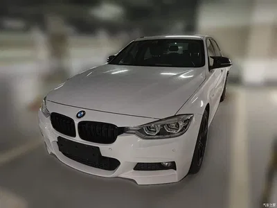 2018 BMW 3 Series 320Li Leading M Sport Package, фото 1, лот 11140667