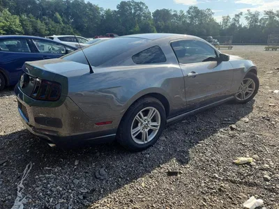 2014 FORD MUSTANG, фото 3, лот 10523612