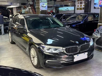 2019 BMW 5 Series 530Li Premium Luxury Package, фото 3, лот 10694106