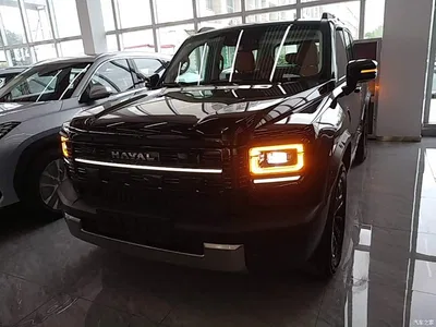 2025 Haval Meng Long NEV Model Base Version, фото 3, лот 11189918