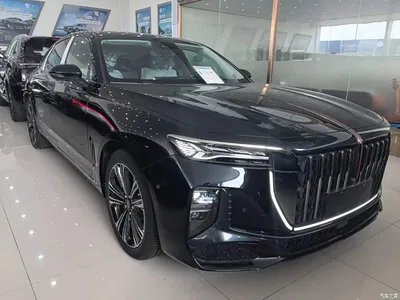 2024 Hongqi H9 2.0T Qi Chang Private Fashion Edition, фото 4, лот 10289556