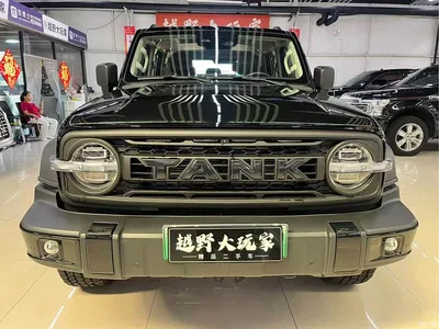 2026 Tank 300L New Energy, фото 1, лот 10593255