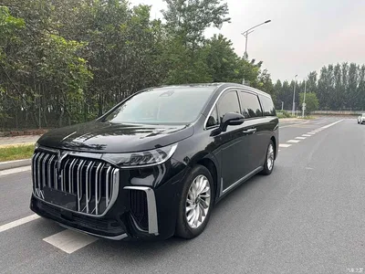 2024 Voyah Auto Voyah Dreamer PHEV Extended Range Premium Edition, фото 1, лот 11449188