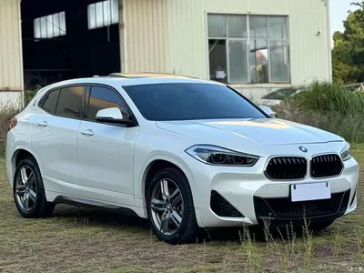 2021 BMW X2 sDrive25i Leading M Off-Road Package, фото 1, лот 10475452