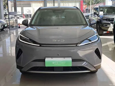 2025 BYD Hai Shi 05 EV 520KM Smart Navigation Edition, фото 2, лот 11547624