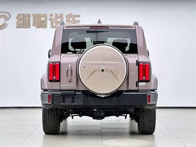 2023 Tank 300 Urban Edition 2.0T Very Stylish, фото 4, лот 10344659