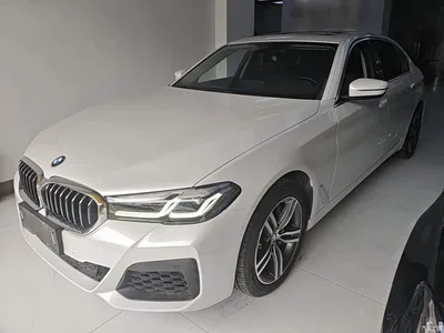 2021 BMW 5 Series 530Li Leading M Sport Package, фото 1, лот 11226092