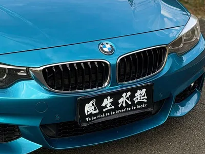 2019 BMW 4 Series 425i Gran Coupe M Sport Package, фото 4, лот 11023578