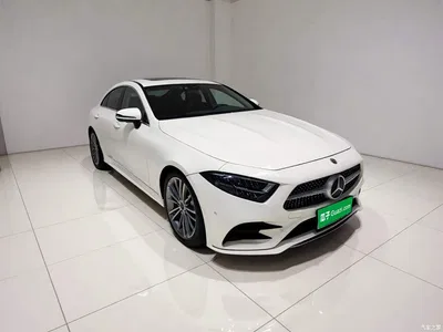 2021 Mercedes-Benz CLS 300 Sport, фото 3, лот 11239819