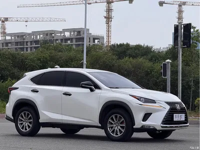 2020 Lexus NX 200 FWD Sharp Edition China V, фото 3, лот 10317600