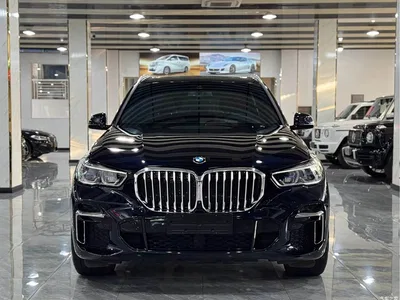 2022 BMW X5 Model xDrive 40Li M Sport Package, фото 2, лот 10462774