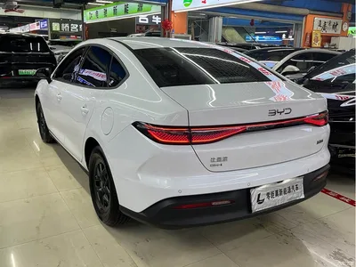 2025 BYD Hai Bao 05 DM-i DM-i Smart Drive Edition 55KM Luxury, фото 4, лот 10273394