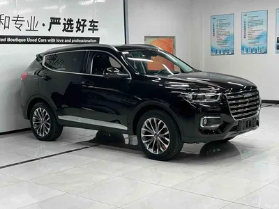 2020 Haval H6 1.5GDIT Automatic Platinum Champion Edition, фото 3, лот 10300287