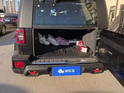 2020 BAIC ORV Beijing Offroad BJ40 2.3T Automatic 4WD Rainforest Cross Edition, фото 4, лот 10832567