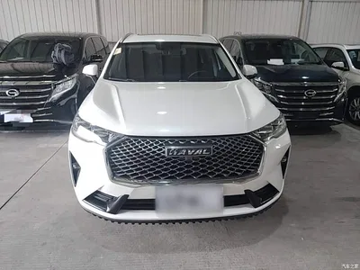 2021 Haval H6 3rd Gen 1.5T Auto 2WD Pro, фото 3, лот 10285787