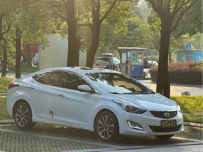 2016 Hyundai Langdong 1.6L Automatic Premium Edition, фото 3, лот 10837641