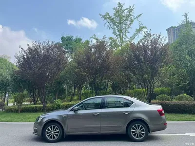 2017 Škoda Octavia 1.6L Automatic Pioneer Edition, фото 4, лот 10348333