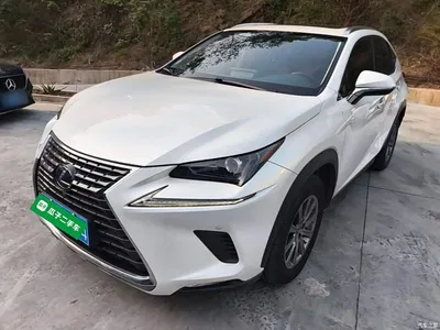 2020 Lexus NX 200 AWD F Sport China VI, фото 1, лот 11095162