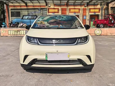 2025 BYD Dolphin 420km Fashion Edition, фото 2, лот 10256699