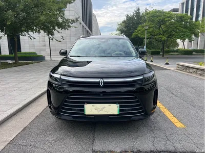 2024 AITO Wenjie AITO M7 1.5T RWD Plus 5-Seater, фото 2, лот 10276536