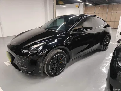 2022 Tesla Model Y Rear-Wheel Drive Version, фото 1, лот 10515137