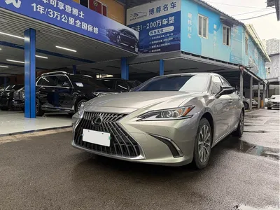 2023 Lexus ES 200 Excellence Edition, фото 1, лот 10312465