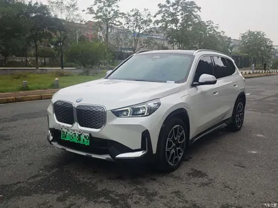 2023 BMW iX1 xDrive30L X Design Package, фото 1, лот 11088653