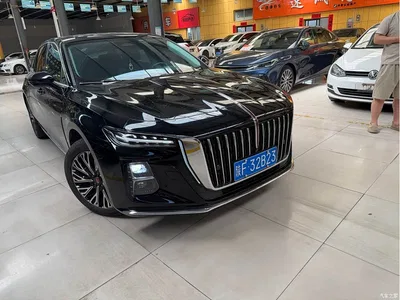 2024 Hongqi H5 2.0T Automatic Smart Connect Flag Enjoy Edition, фото 4, лот 10288680