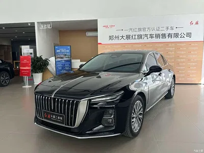 2023 Hongqi H5 2.0T Auto Smart Connect Flag Comfort, фото 1, лот 11476288