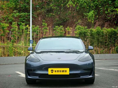 2022 Tesla Model 3 Model Rear-Wheel Drive Version, фото 3, лот 10323545