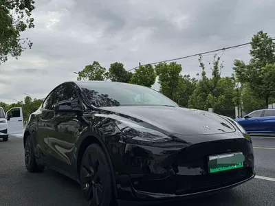 2022 Tesla Model Y Facelift Rear-Wheel Drive Version, фото 3, лот 10479034