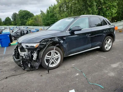 2024 AUDI Q5 E PREMIUM PLUS 55, фото 1, лот 10901149