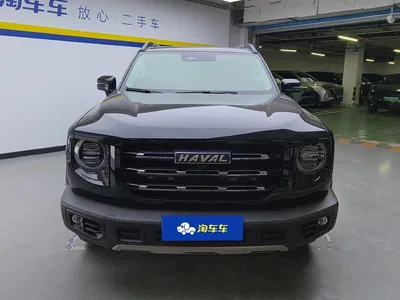 2022 Haval Big Dog 1.5T DCT FWD Border Collie Edition, фото 2, лот 10361812