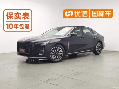 2024 Hongqi H5 2.0T Automatic Smart Connect Flag Smooth Edition, фото 1, лот 10288500