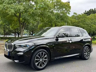 2020 BMW X5 (Import) xDrive40i M Sport Package, фото 1, лот 11197418