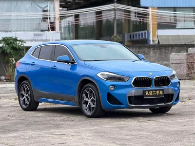 2019 BMW X2 (Import) sDrive20i M Off-Road Package China VI, фото 3, лот 11569077