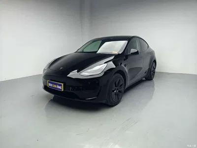 2023 Tesla Model Y Rear-Wheel Drive Edition, фото 1, лот 10449778