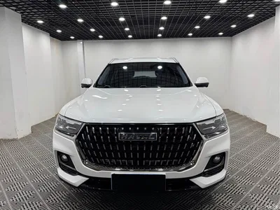 2023 Haval H6 National Trend Edition 1.5T Automatic Urban, фото 2, лот 10297981