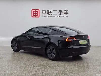 2022 Tesla Model 3 Model Rear-Wheel Drive Version, фото 3, лот 10816261