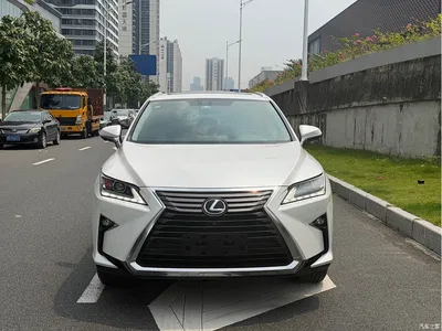 2016 Lexus RX 300 2WD Comfort Edition China V, фото 2, лот 10440859