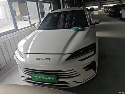 2023 BYD Song PLUS PHEV Champion Edition DM-i 150KM Flagship PLUS, фото 2, лот 11499643