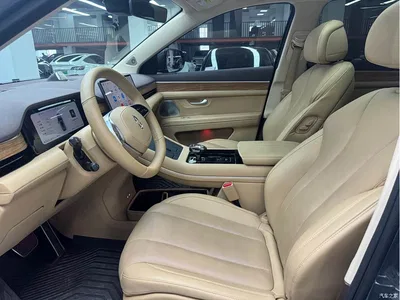 2022 AITO Wenjie AITO M7 1.5T RWD Comfort Edition, фото 4, лот 10276606