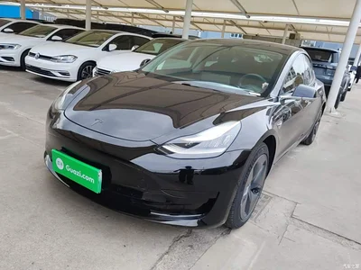 2020 Tesla Model 3 Standard Range Rear-Wheel Drive Upgrade, фото 1, лот 10375151
