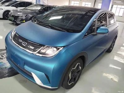 2021 BYD Dolphin Model 405km Fashion Edition, фото 2, лот 10263925
