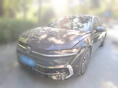 2024 Volkswagen Magotan 380TSI DSG Luxury Edition (Daimai Package), фото 2, лот 10895450