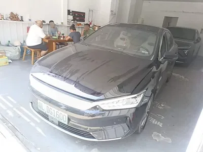 2024 BYD Qin PLUS Glory Edition EV 420KM Leading, фото 1, лот 10598609