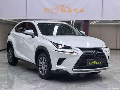 2018 Lexus NX 200 AWD Sharp Style Edition China VI, фото 3, лот 11586244