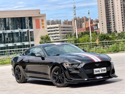 2017 Ford Mustang 2.3T Performance Edition, фото 3, лот 10295942