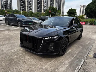 2025 Hongqi H5 2.0T Automatic Mystic Shadow, фото 1, лот 10288023
